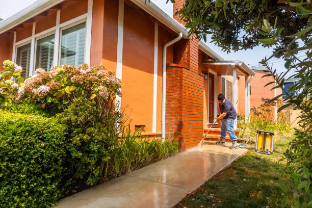 Best Pressure Washing Contractors  in Potterville, MI