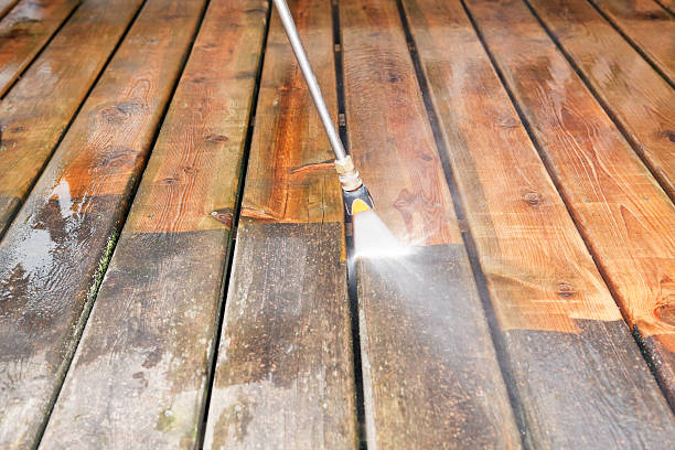 Best Affordable Power Washing  in Potterville, MI