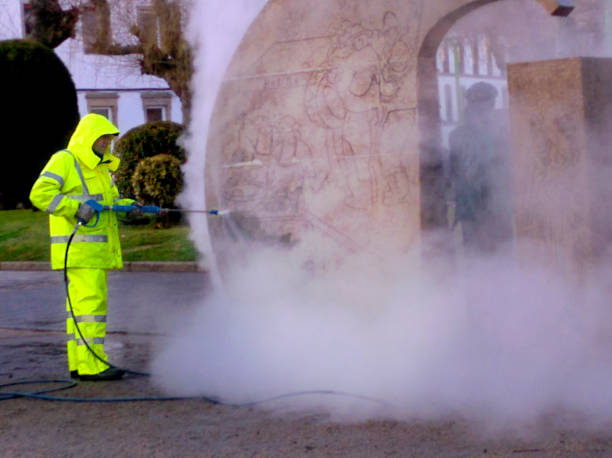 Best Roof Power Washing Services  in Potterville, MI