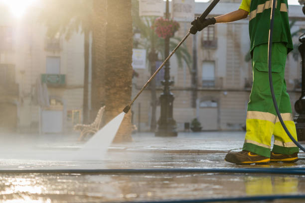 Best Affordable Power Washing  in Potterville, MI