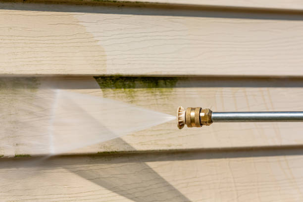 Best Power Washing Near Me  in Potterville, MI