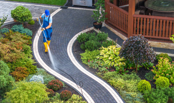 Best Residential Pressure Washing Services  in Potterville, MI