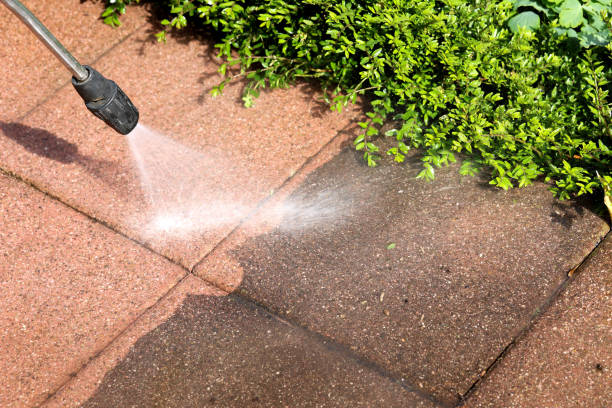 Best Pressure Washing Patio  in Potterville, MI